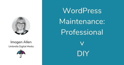 WordPress Maintenance Professional v DIY
