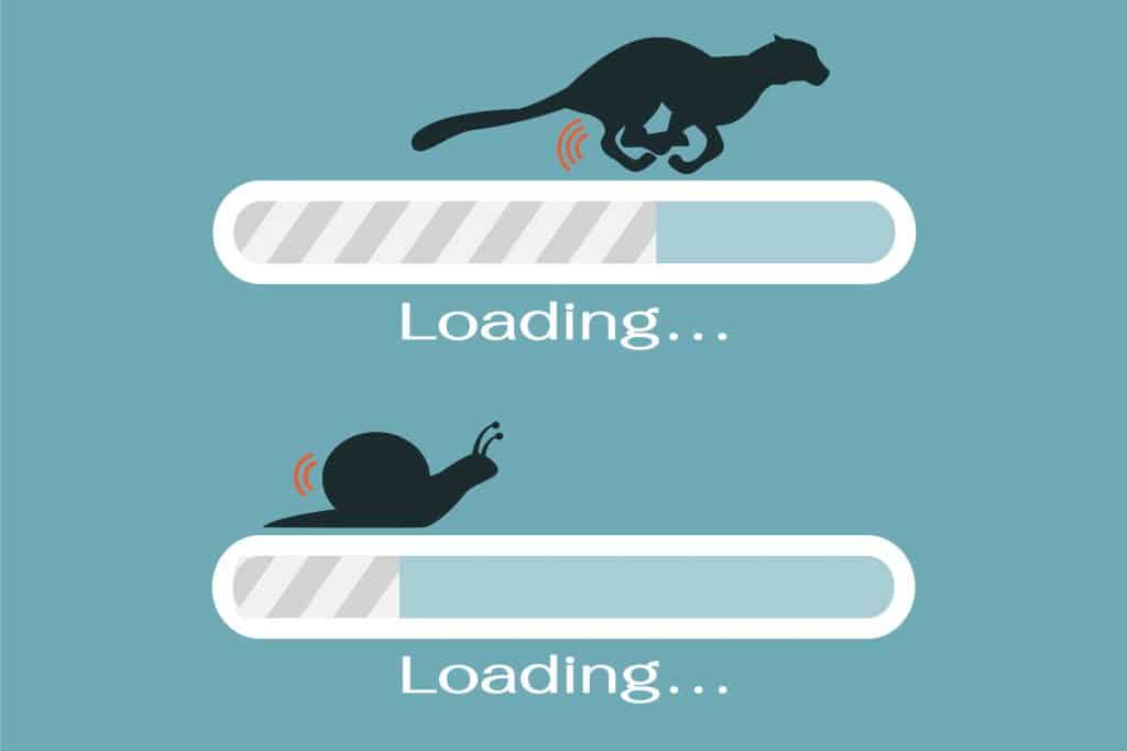 website speed the snail versus the tiger